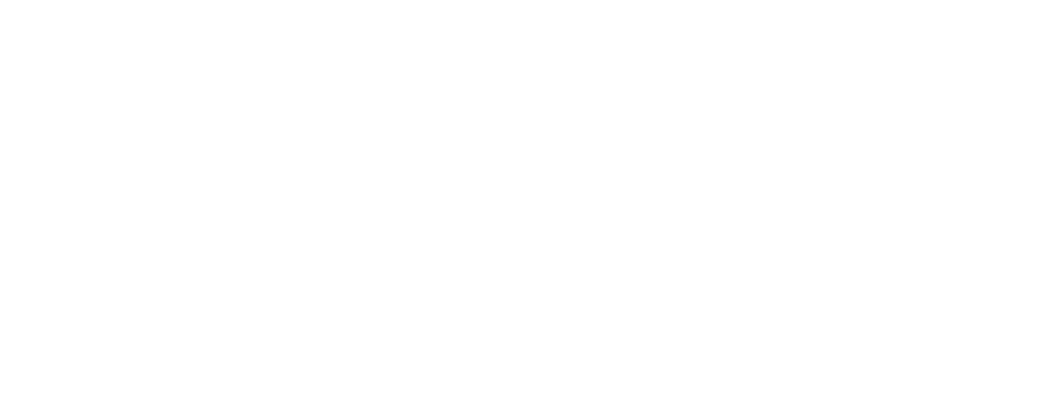 SETIC Logo